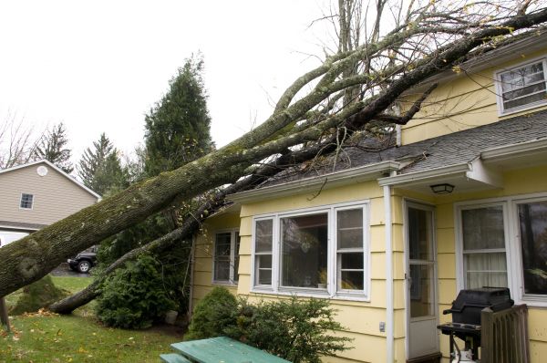 Hurricane Damage Repair in Navarre